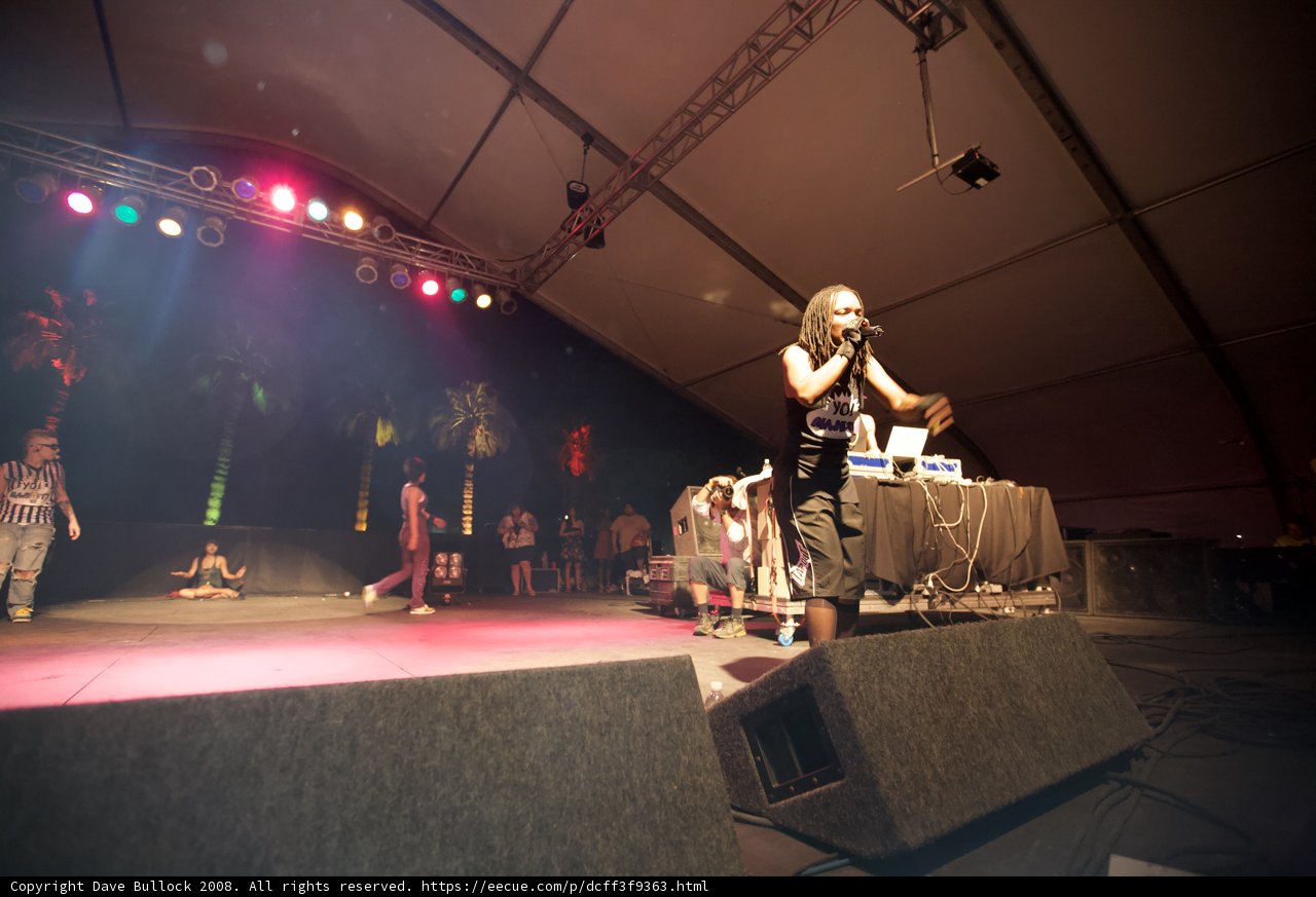 Woman Rocks the Stage at Coachella Music Festival