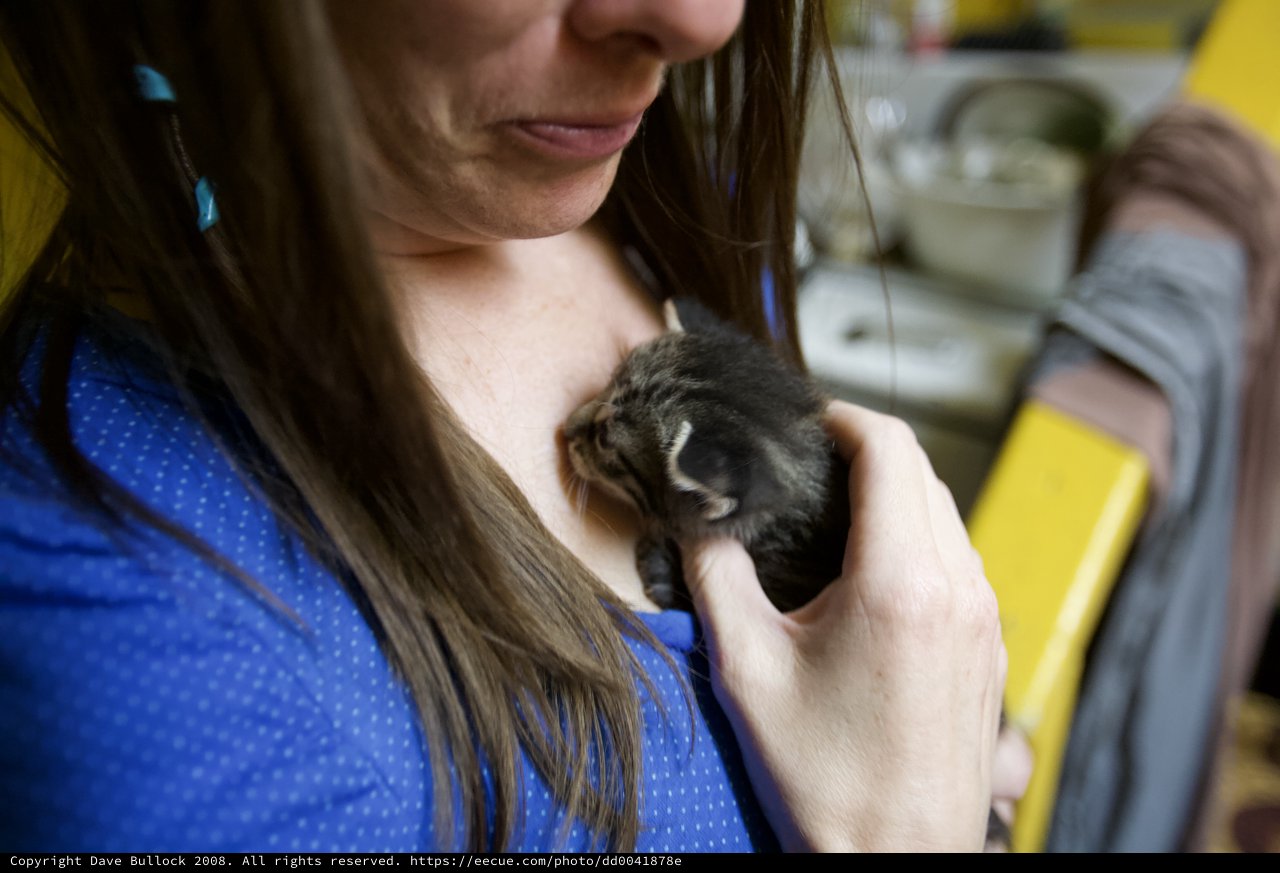 Tender Moment: Woman Cradles Tiny Newborn Kitten