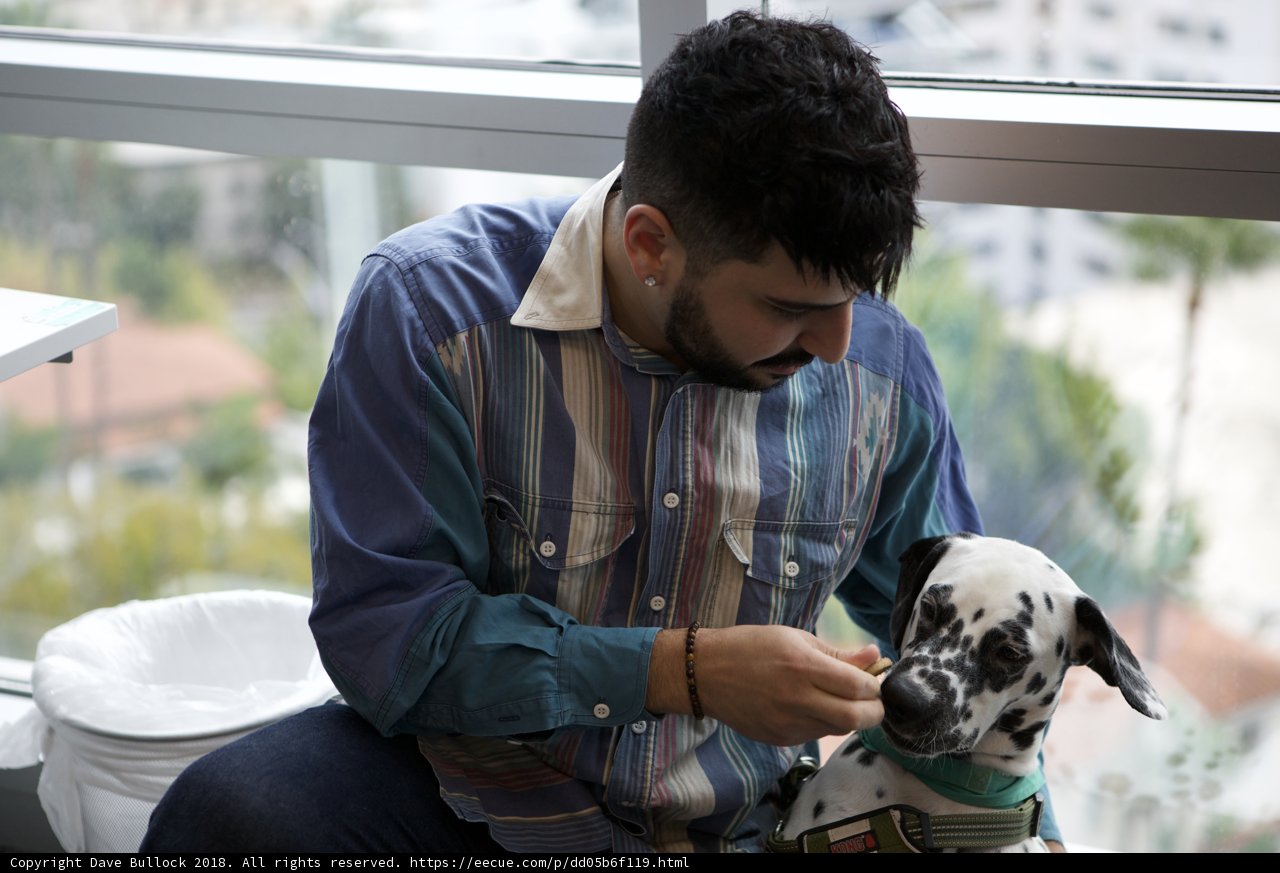 A Man and his Dalmatian