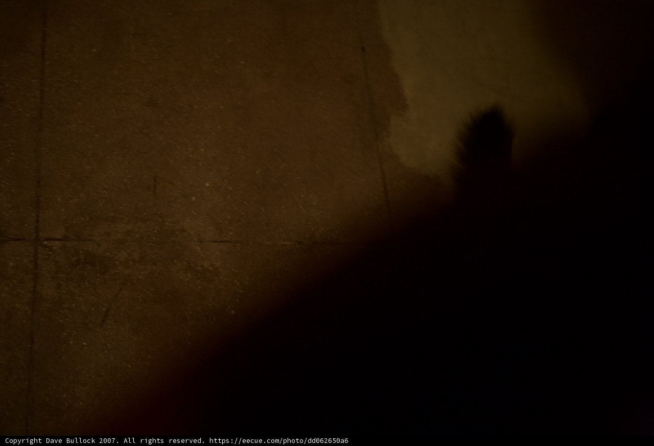 Shadow in the Night