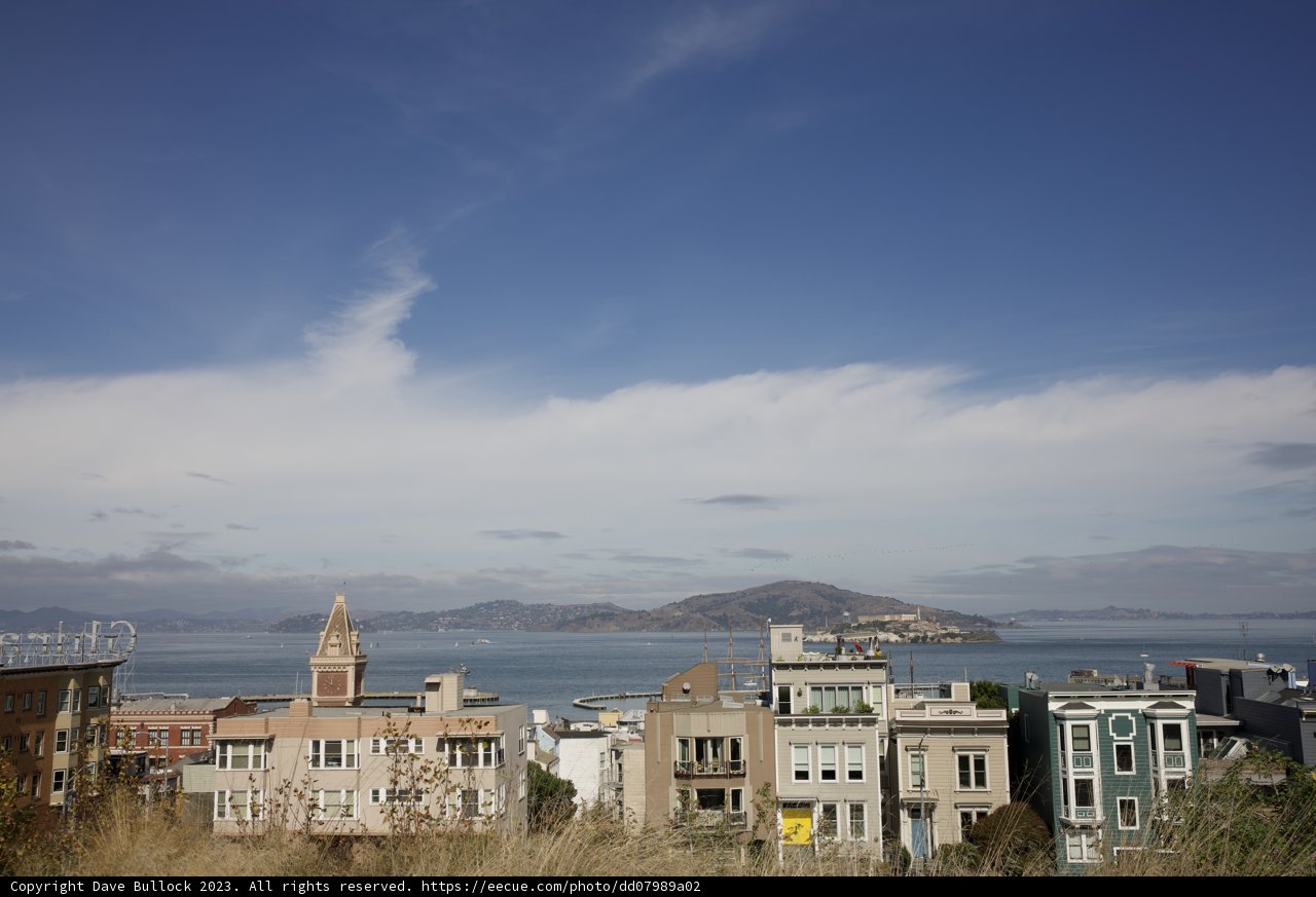 Urban Oasis: Fusing Nature and City Life