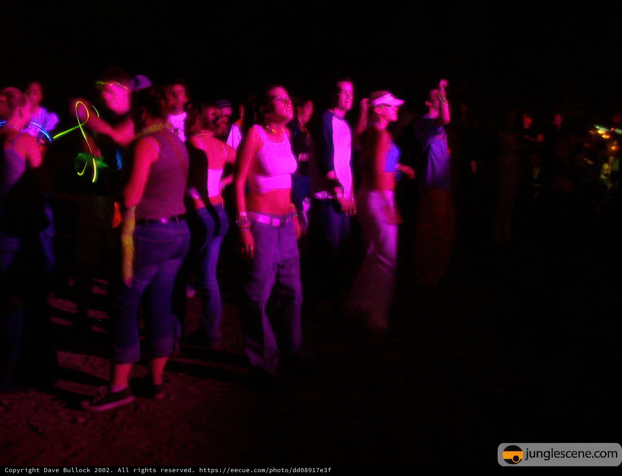 Nightclub Crowd