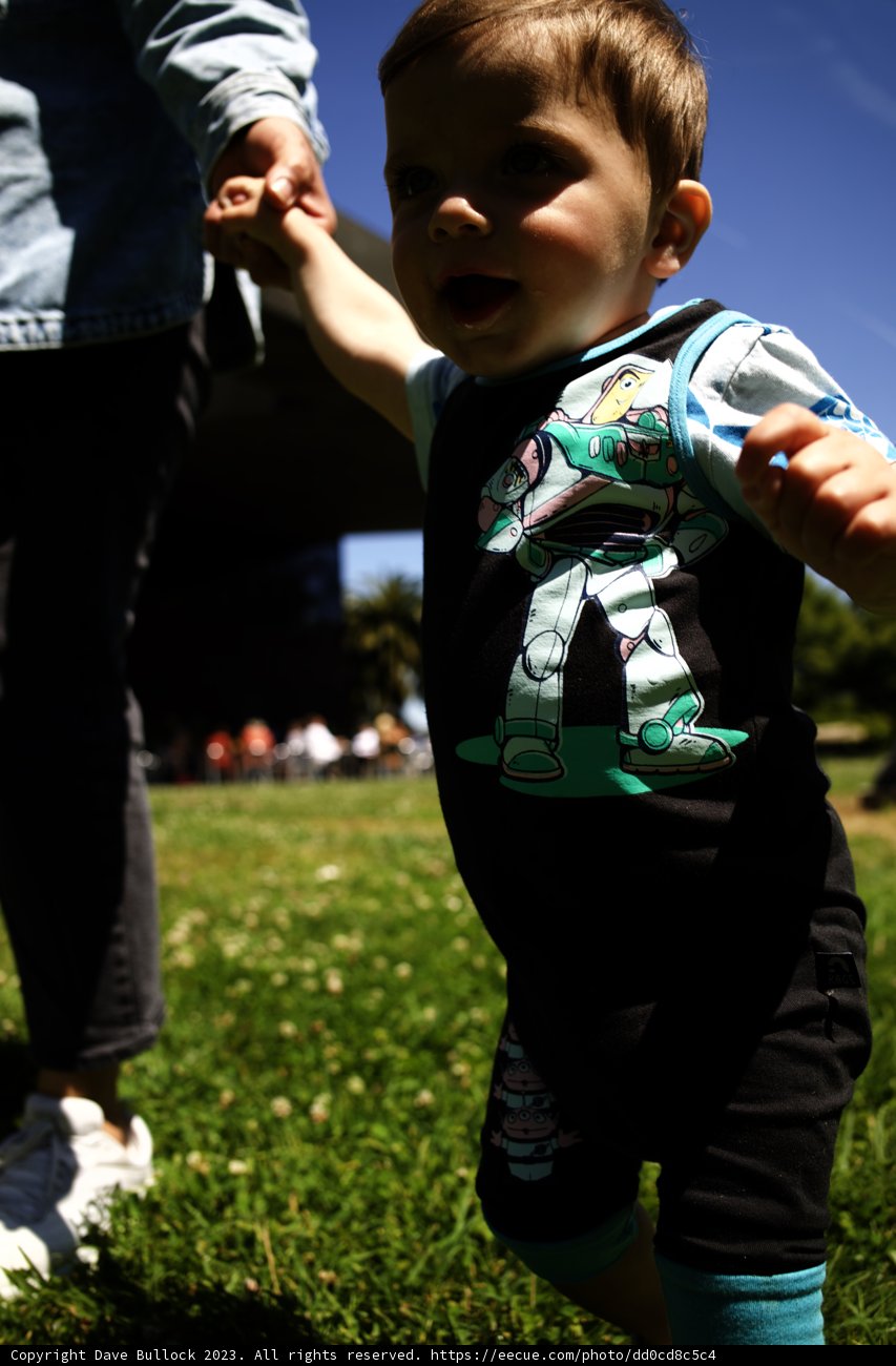 The Little Explorer, 2023