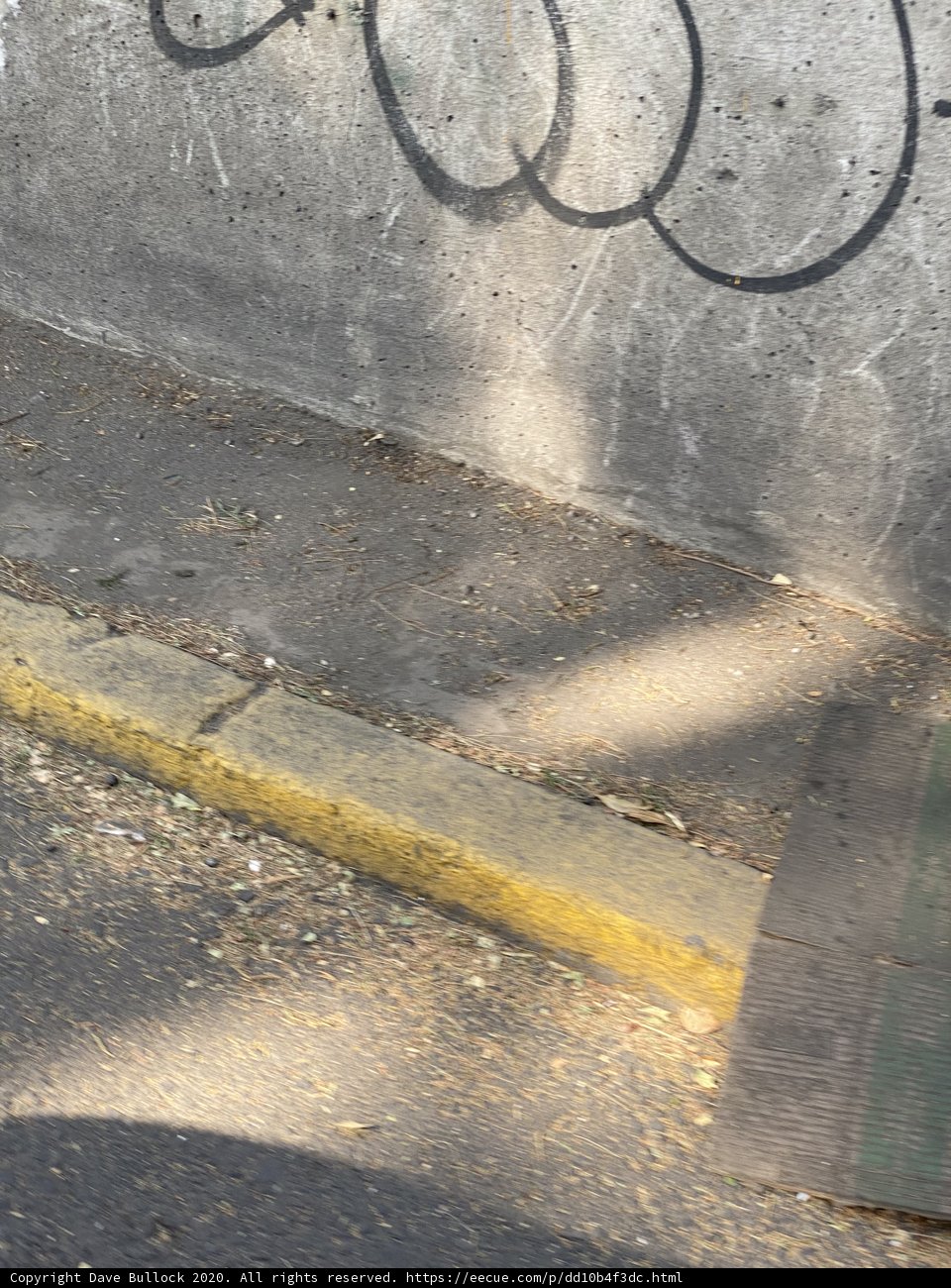 Riding Through the Urban Canvas