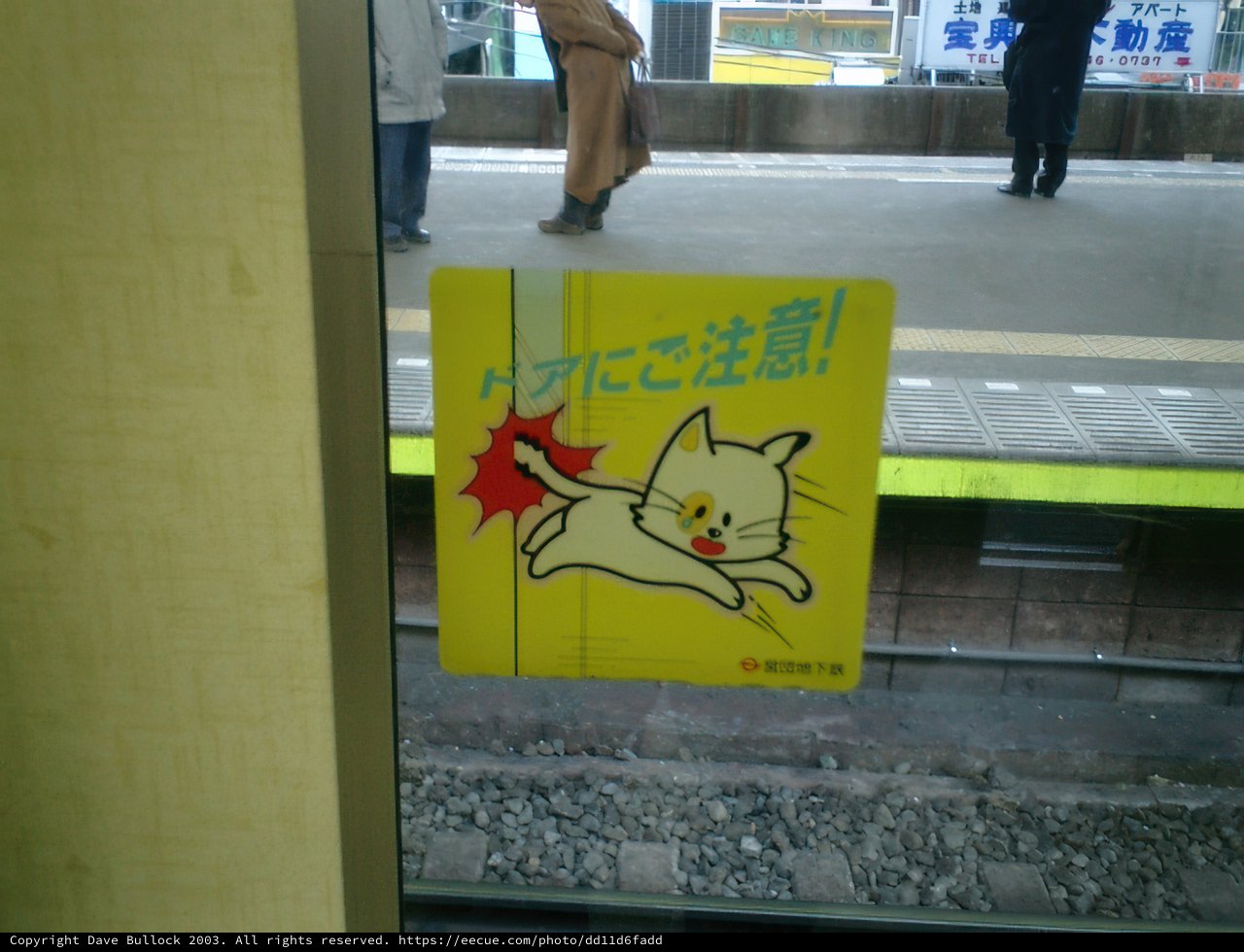 Feline Destination