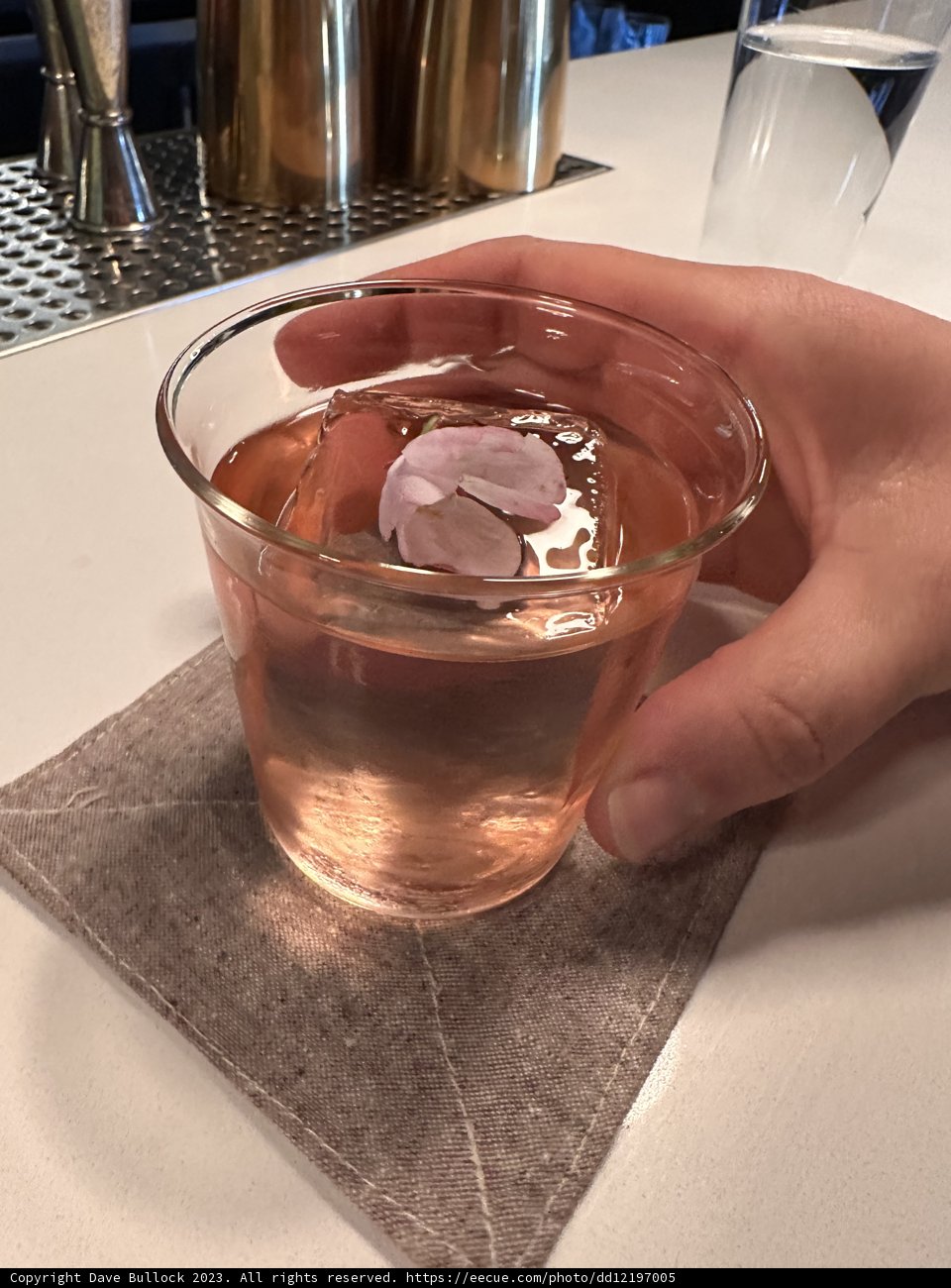 A Refreshing Pink Delight in San Francisco