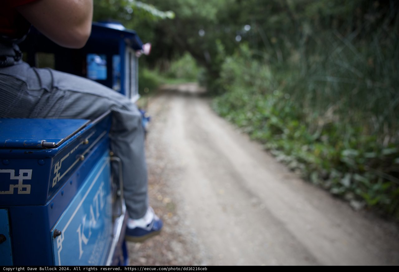 Journey Through Nature
