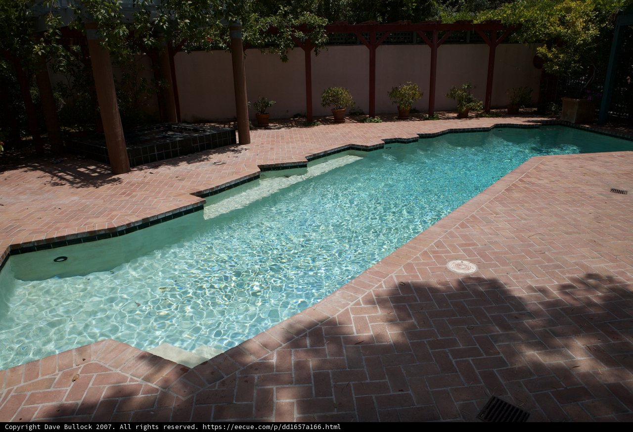 Tranquil Oasis
