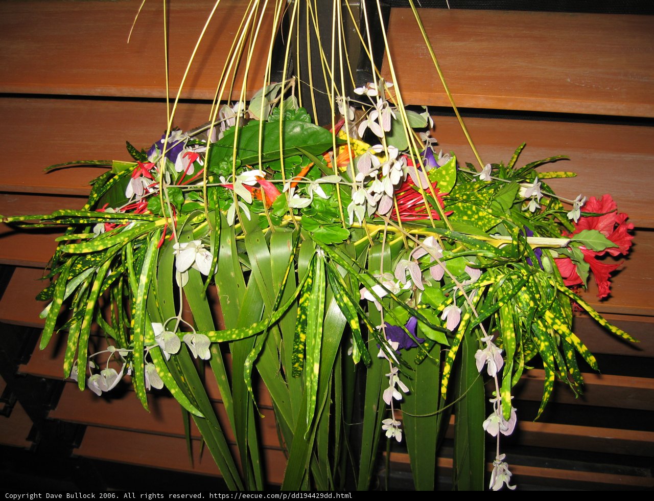Hanging Garden Masterpiece