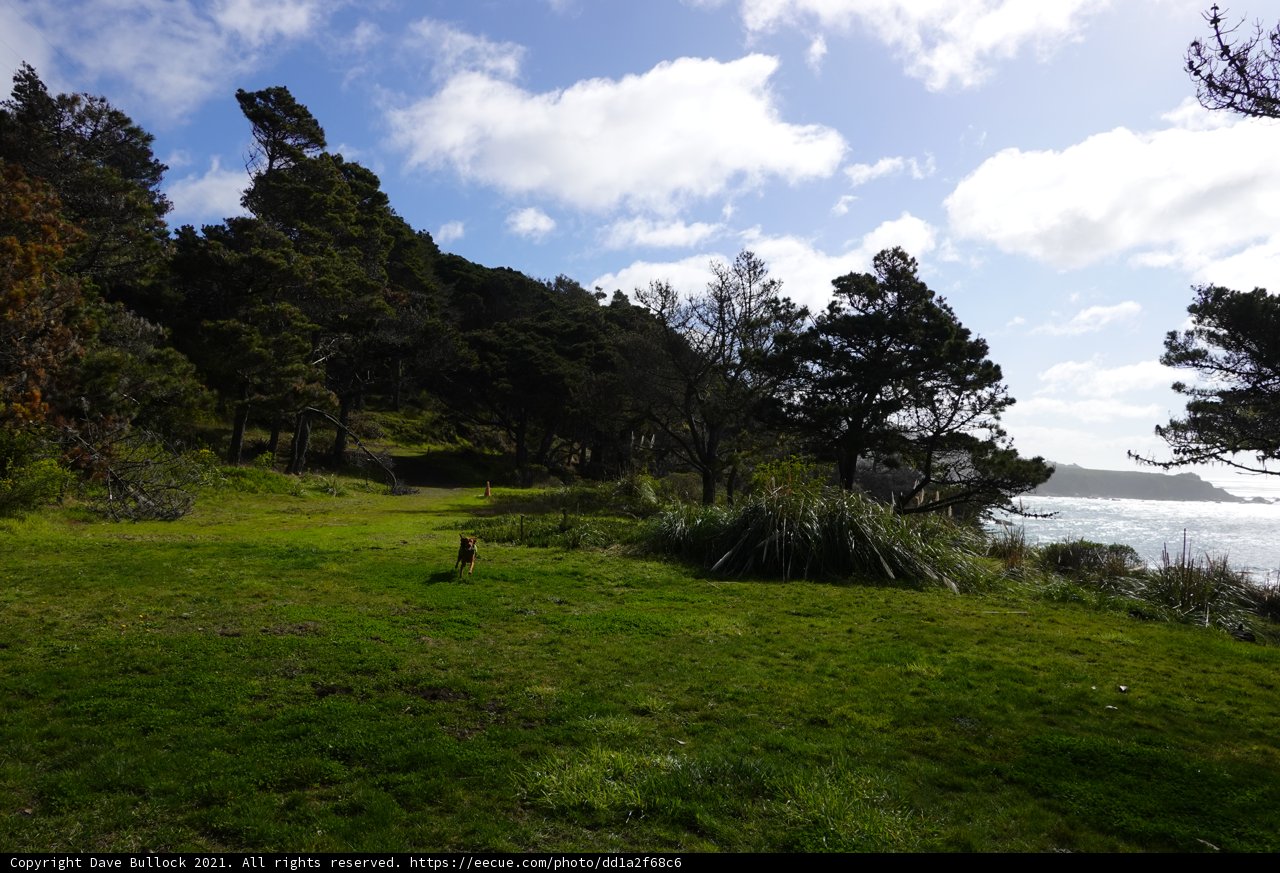 Serenity at the Grassy Meadow