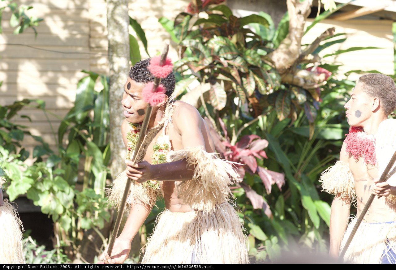 Traditional Hula Dance Amidst Foliage