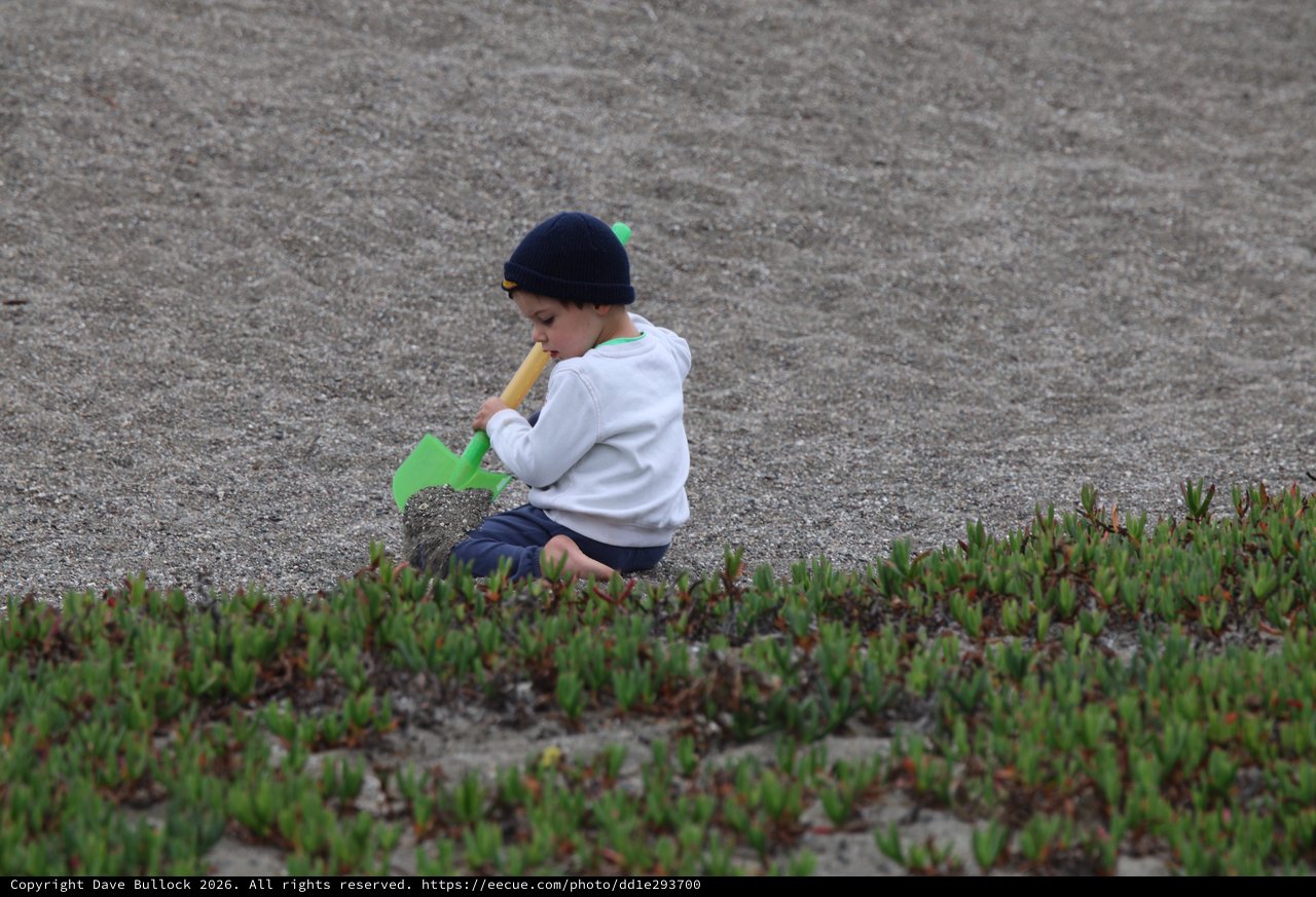 Young Child Playing in Sand at Foggy Beach