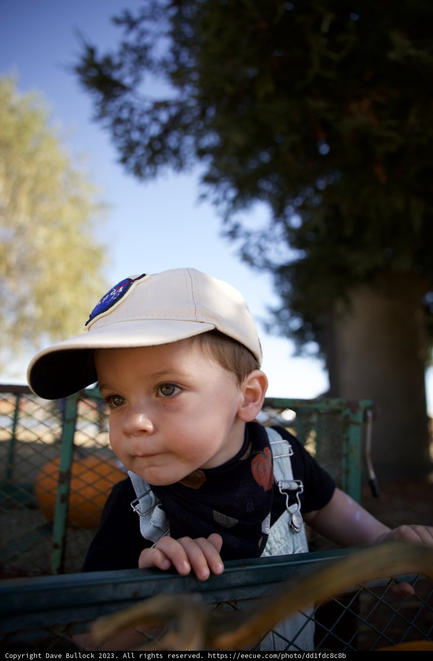 A Day in the Pumpkin Patch
