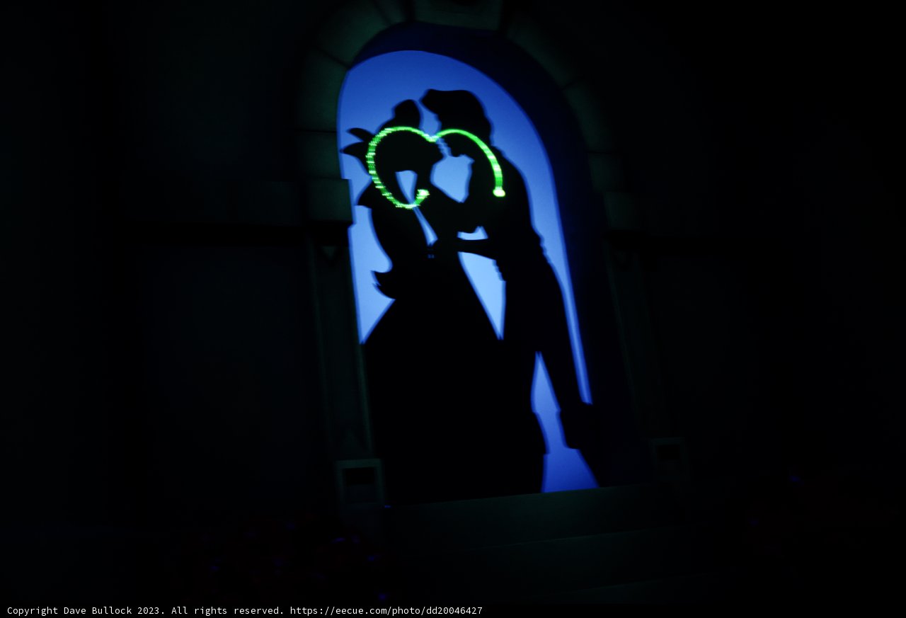 Magical Silhouettes at Disneyland