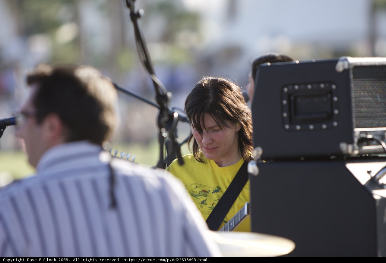 Guitar Melodies in Coachella Park
