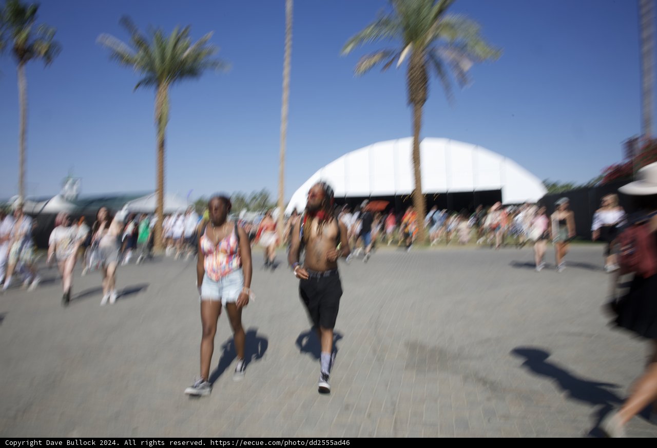 Summer Vibrance at Coachella 2024