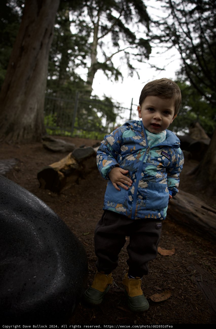 Childhood Wonder in the Heart of Nature