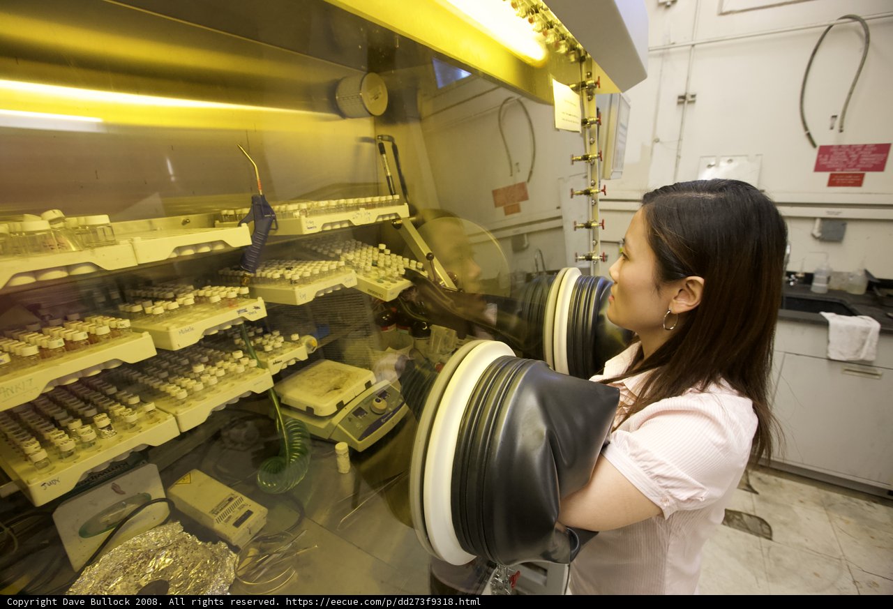 At Work in the Lab