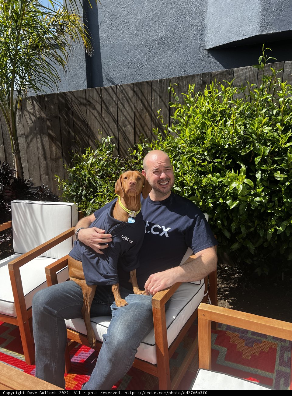 Man and His Canine Companion Enjoying the Backyard