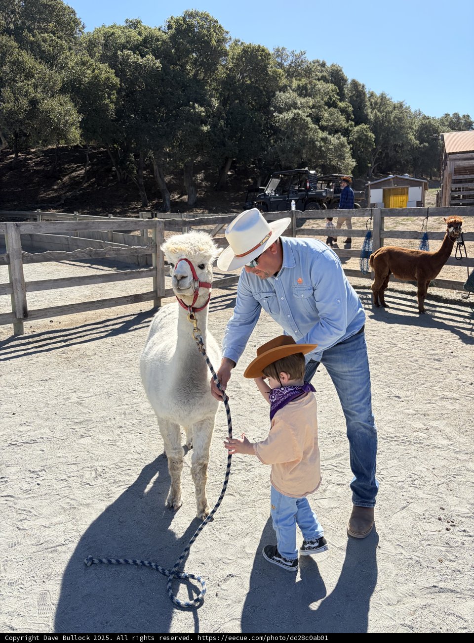 Ranch Adventures in Carmel Valley