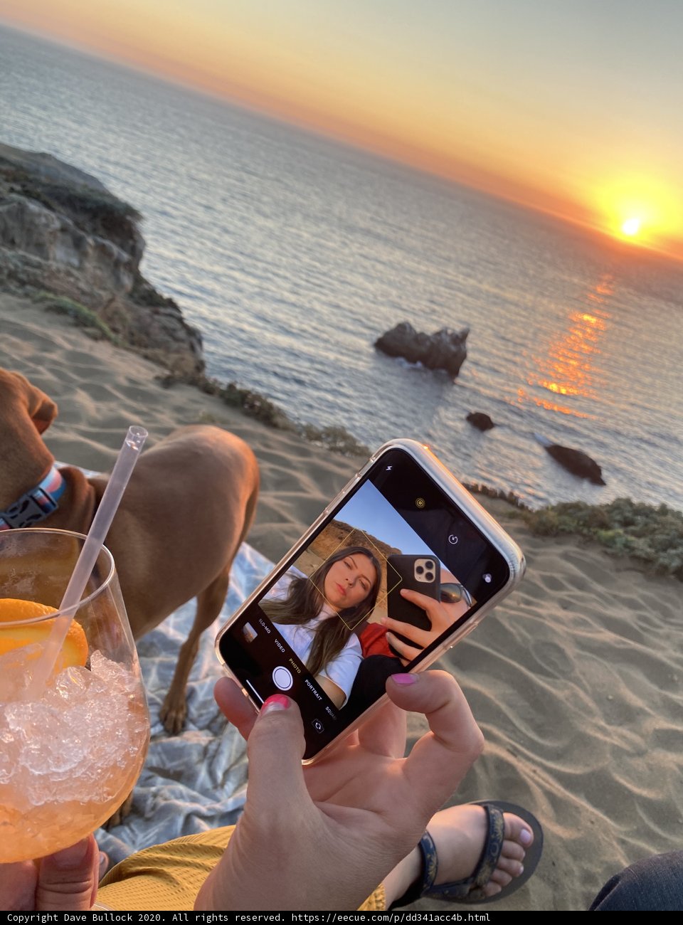 Sunset Selfie with Man's Best Friend