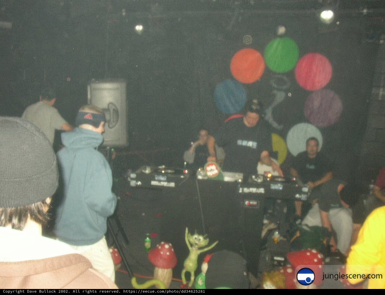 Nightclub DJ Performance