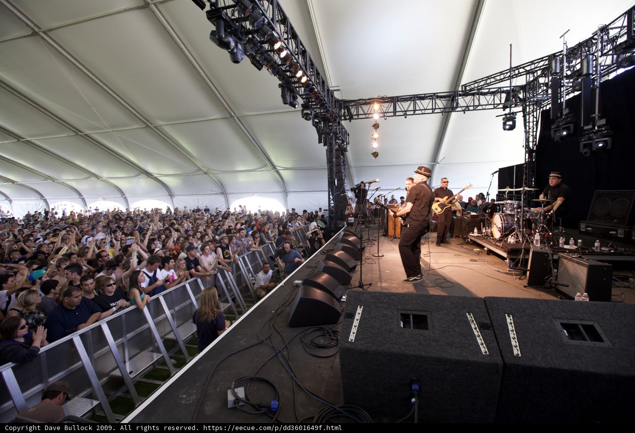 The Electric Crowd at Coachella 2009