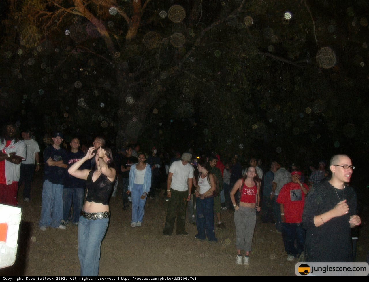 Nightly Gathering
