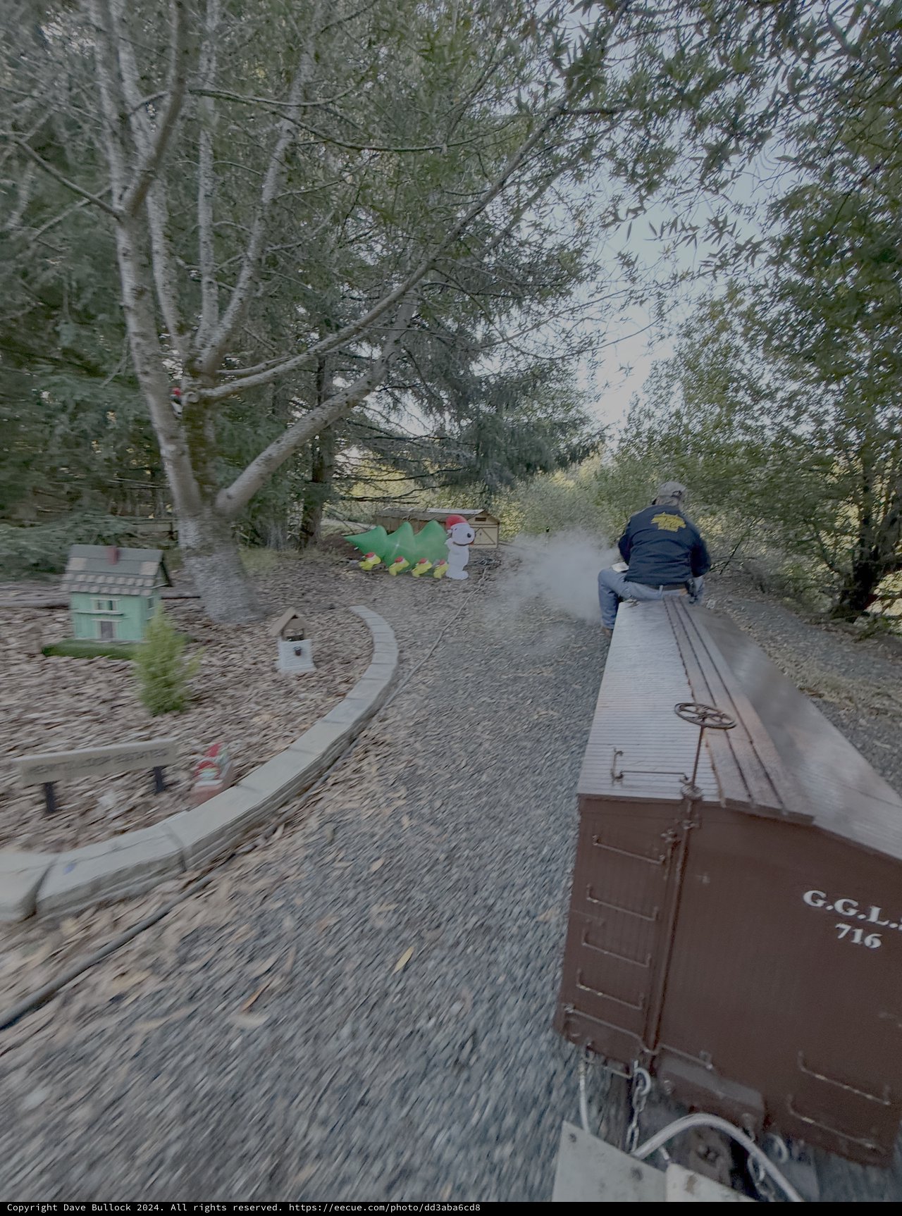 Vintage Train Ride Through Wooded Railway