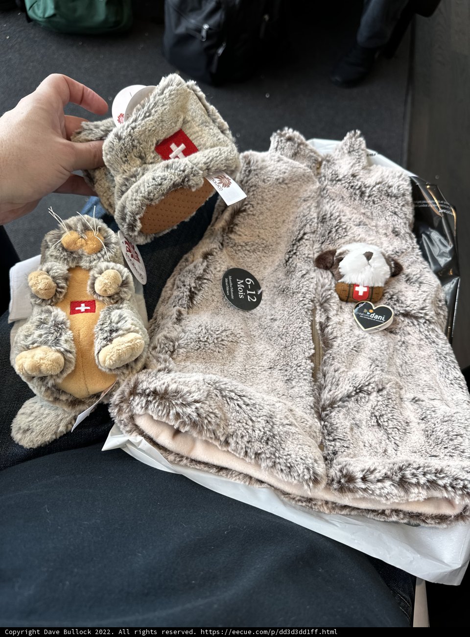 Comfort in a Plush World