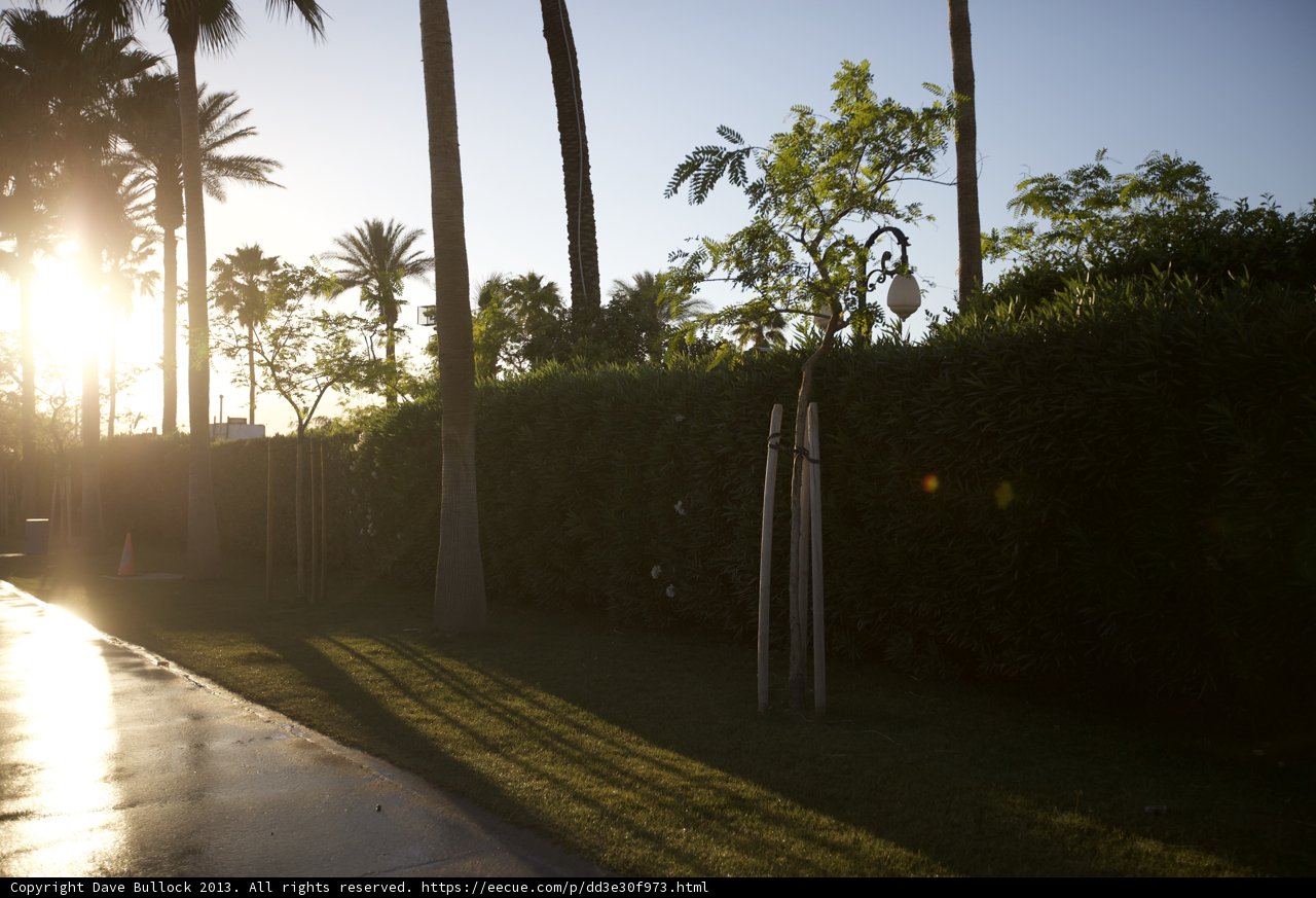 Sunset Behind The Palms