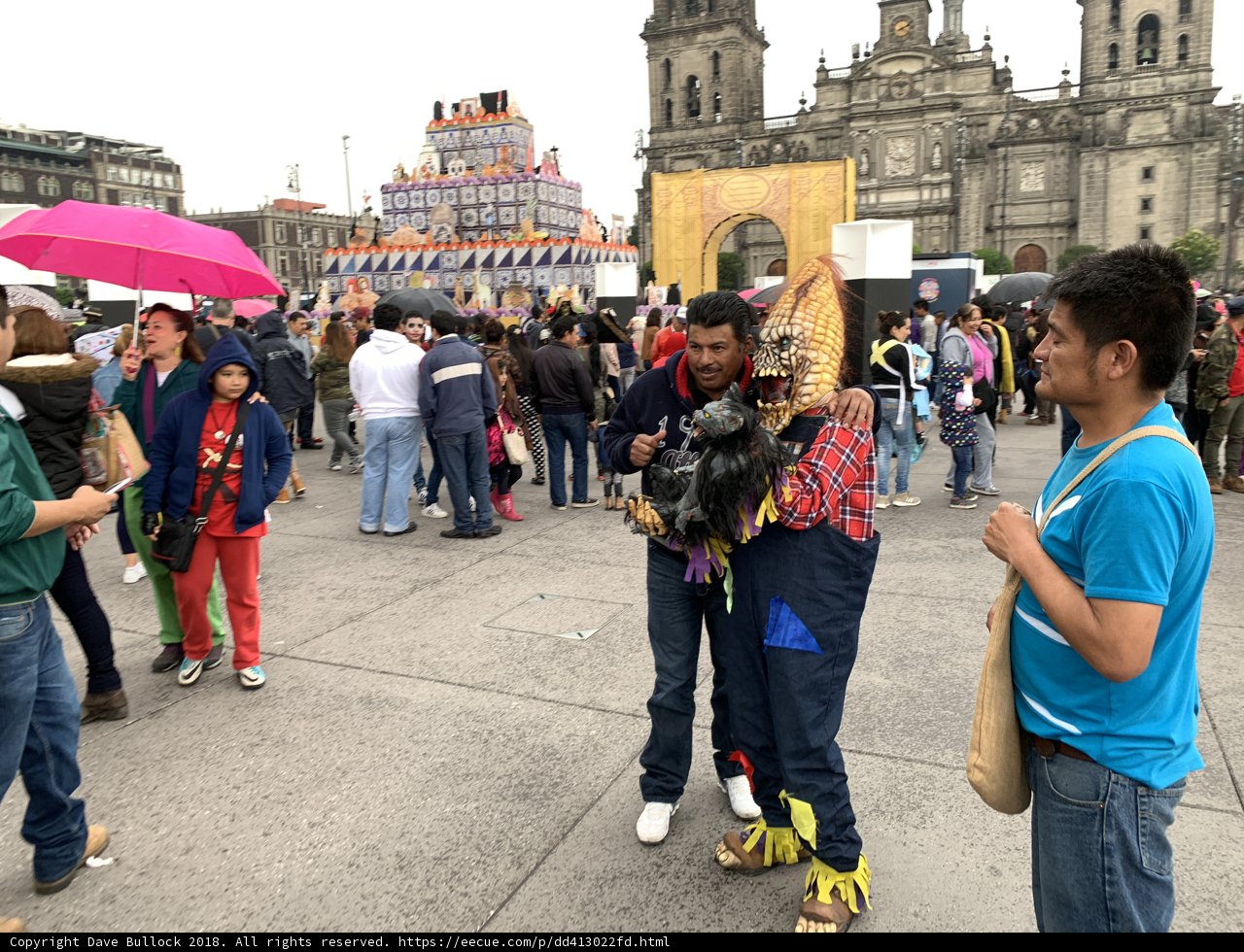 Urban Crowd in the Metropolis