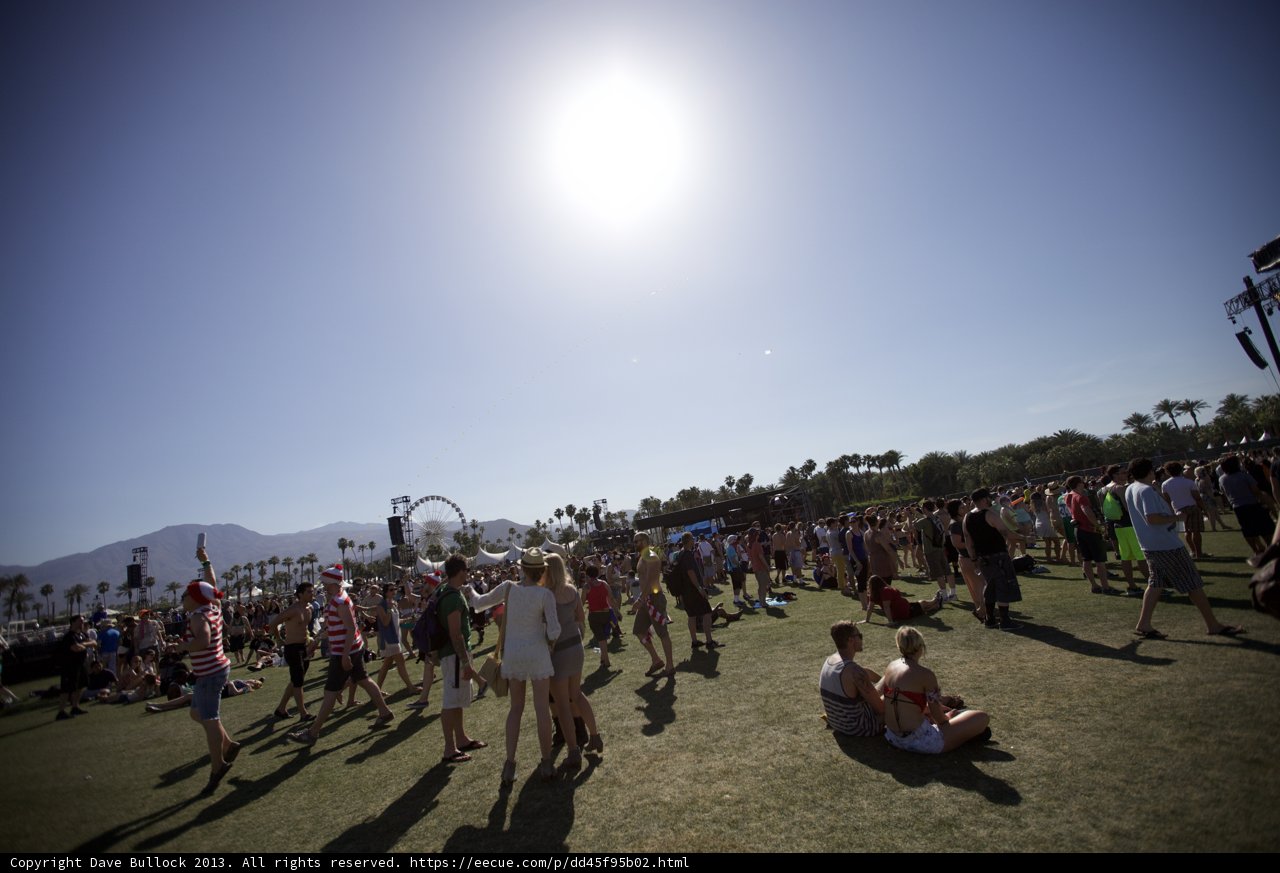 Dancing in the Sun-soaked Grass
