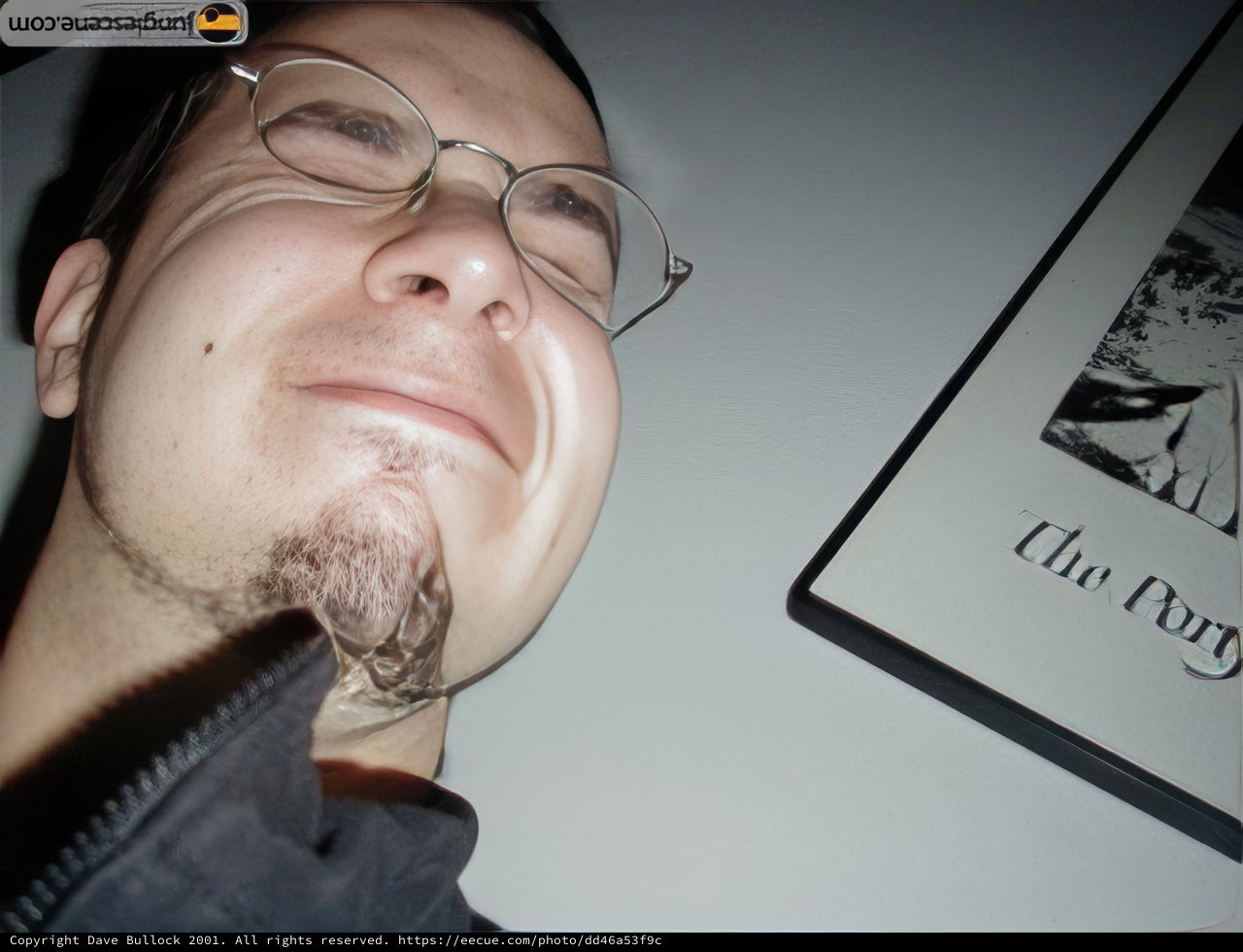 Bearded Man in Glasses