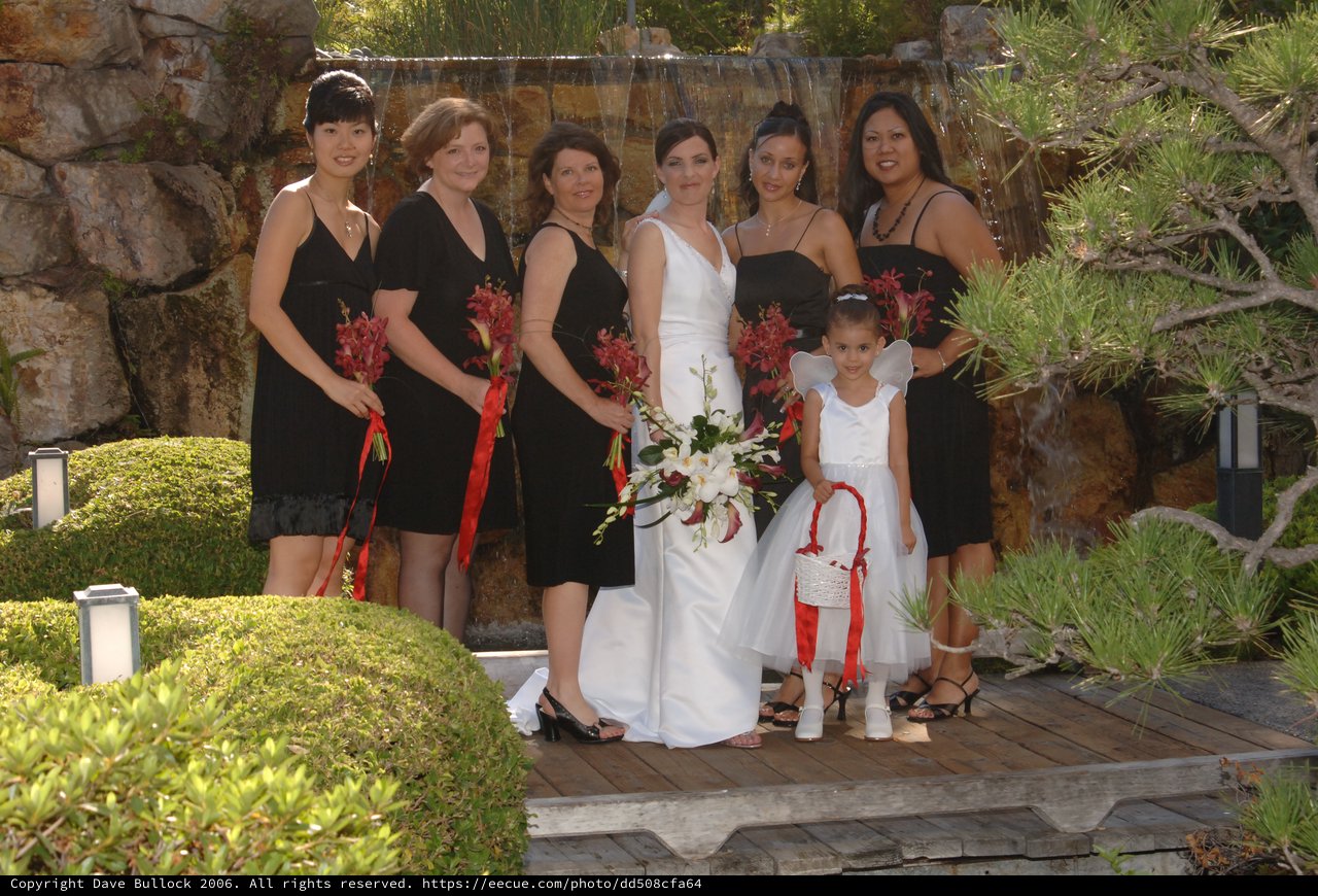 Bride and Bridesmaids Pose Before Garden Waterfall