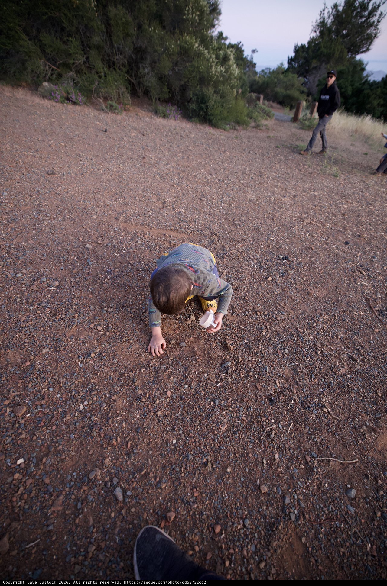 Curious Child Exploring Gravel Path at Dusk