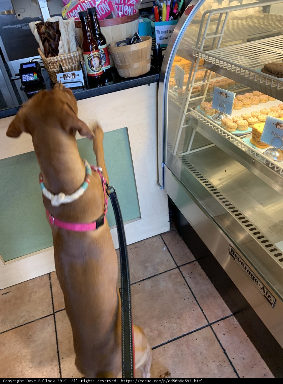 Bakery Buddies