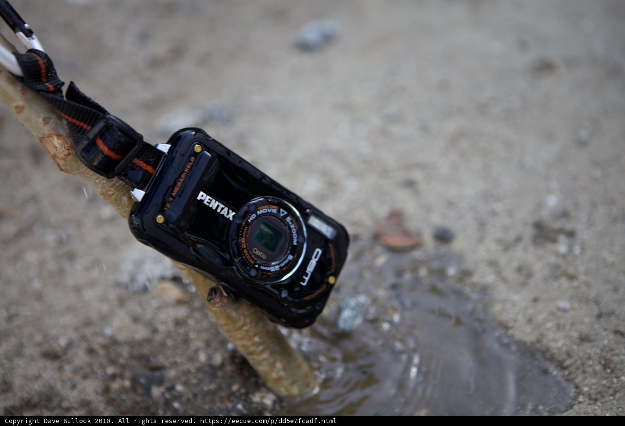A Camera in the Muddy Wilderness