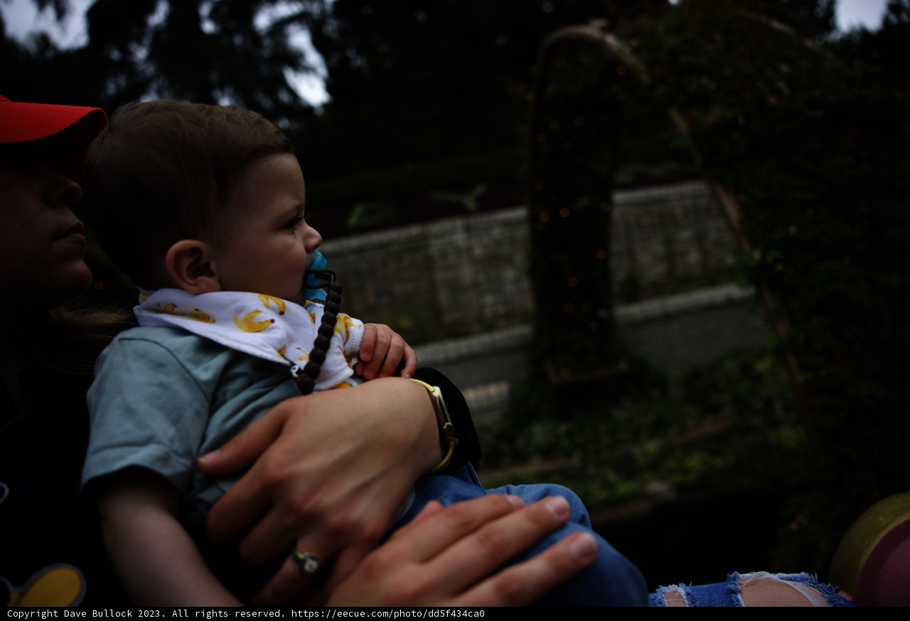 Magical Moments with Baby Wes at Disneyland