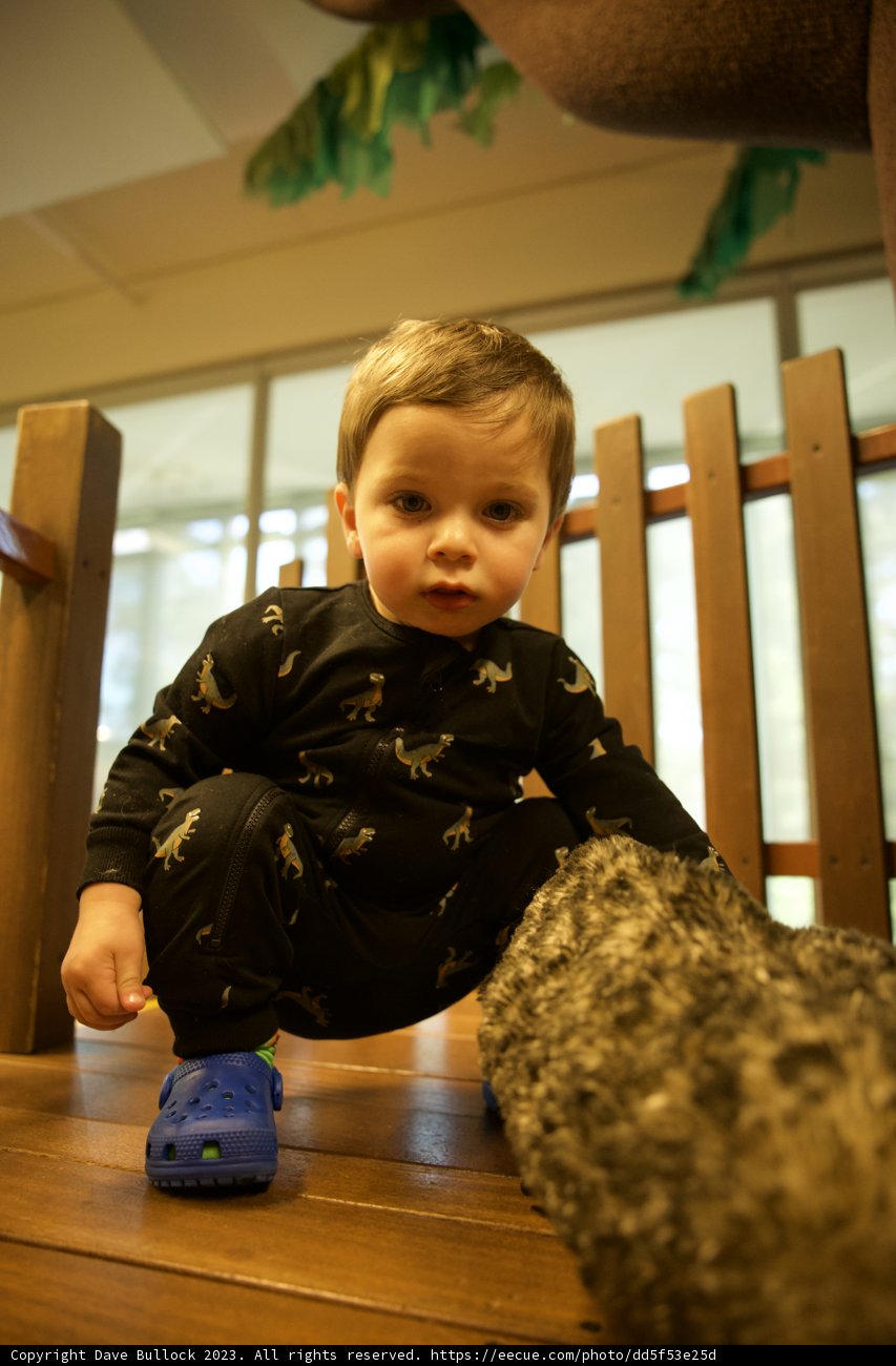 Playtime Memories in November's Light