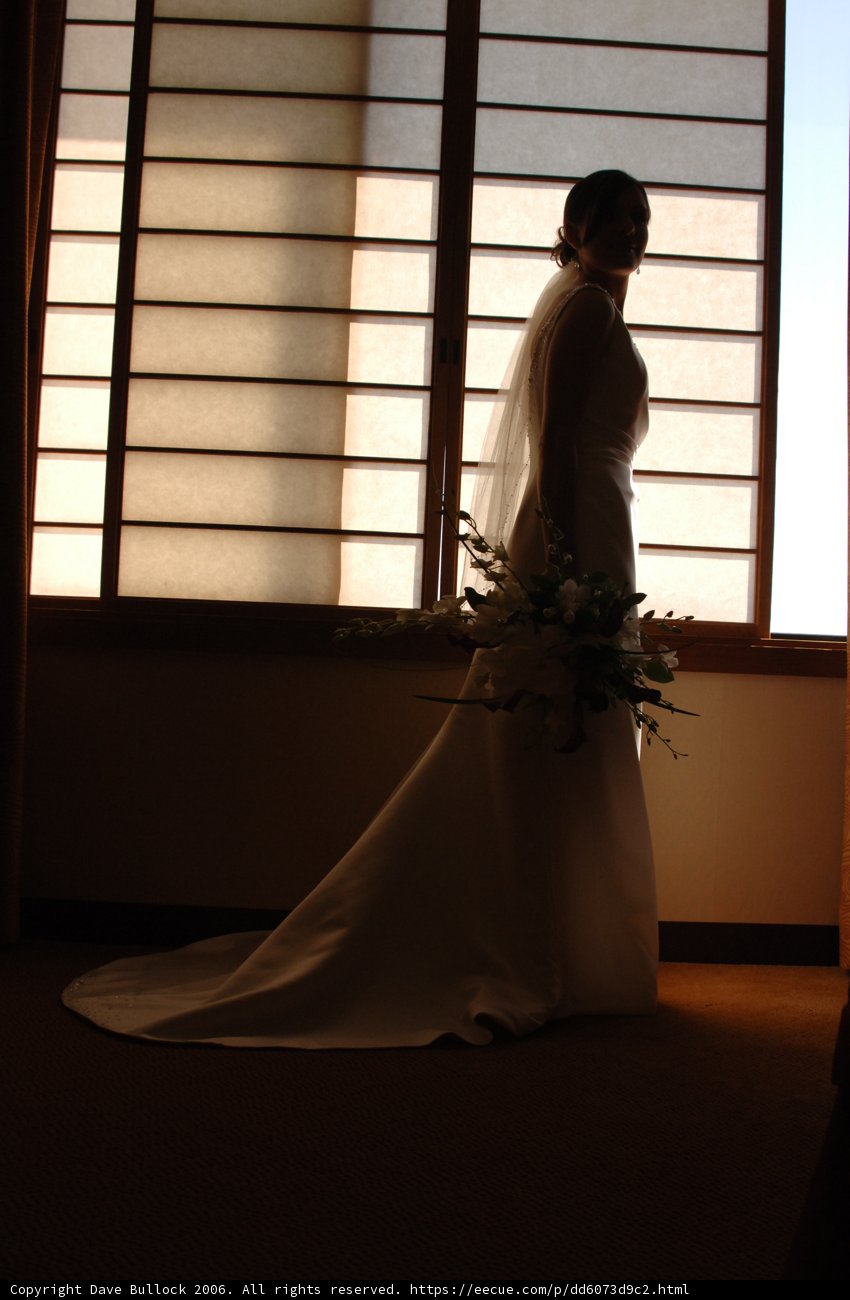 Bridal Beauty by the Window