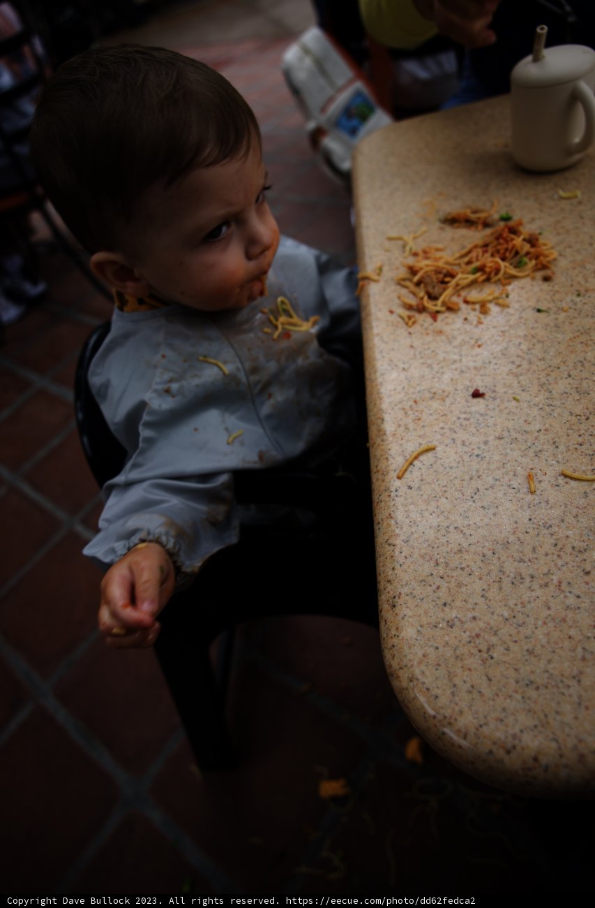 Little Foodie's Magical Adventure