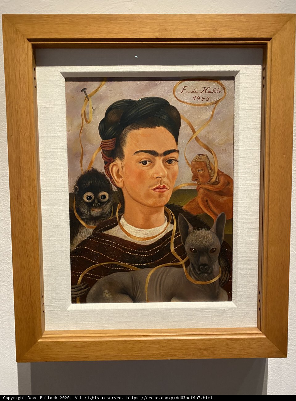 Frida Kahlo Gazes at Her Reflection in Self-Portrait