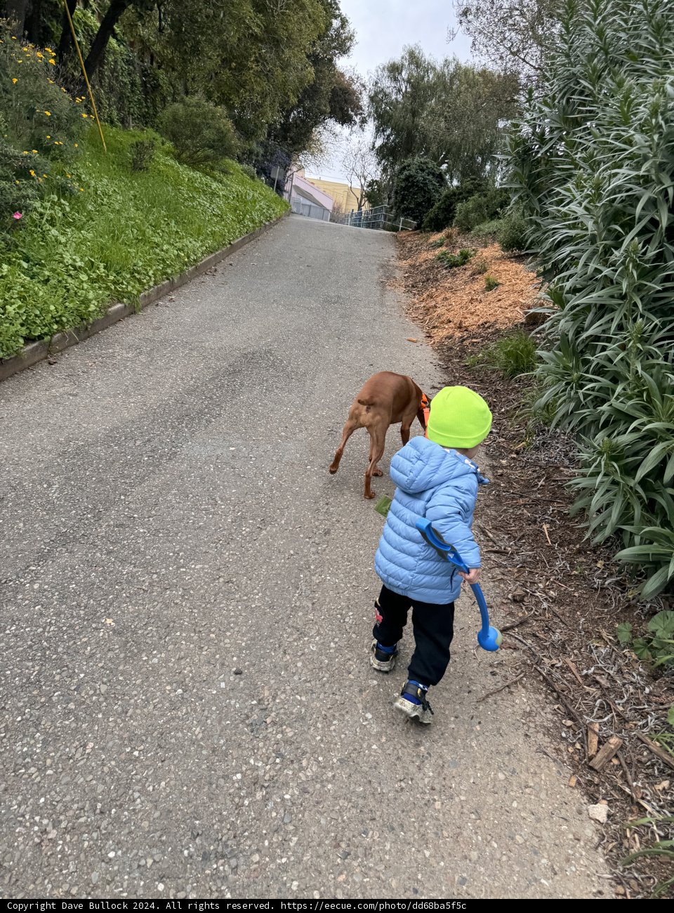 March Adventure