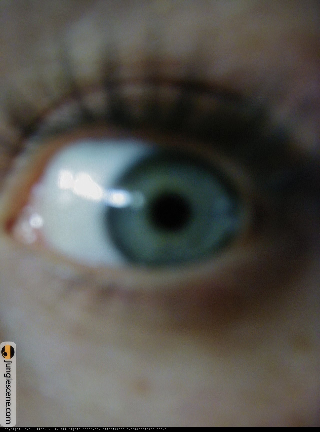 The Green-Eyed Person