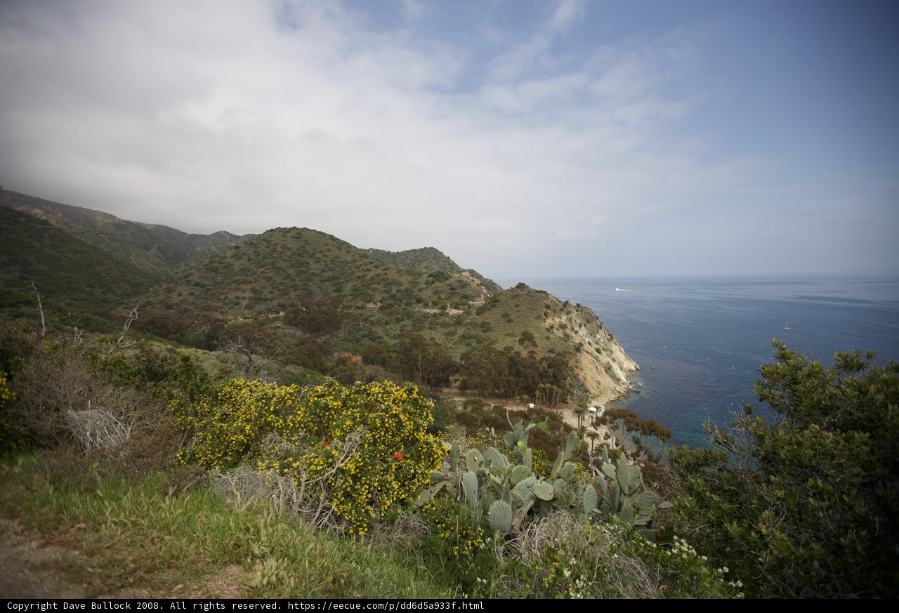 Promontory Vista