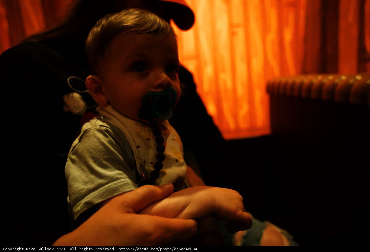 Cherished Moments at Disneyland