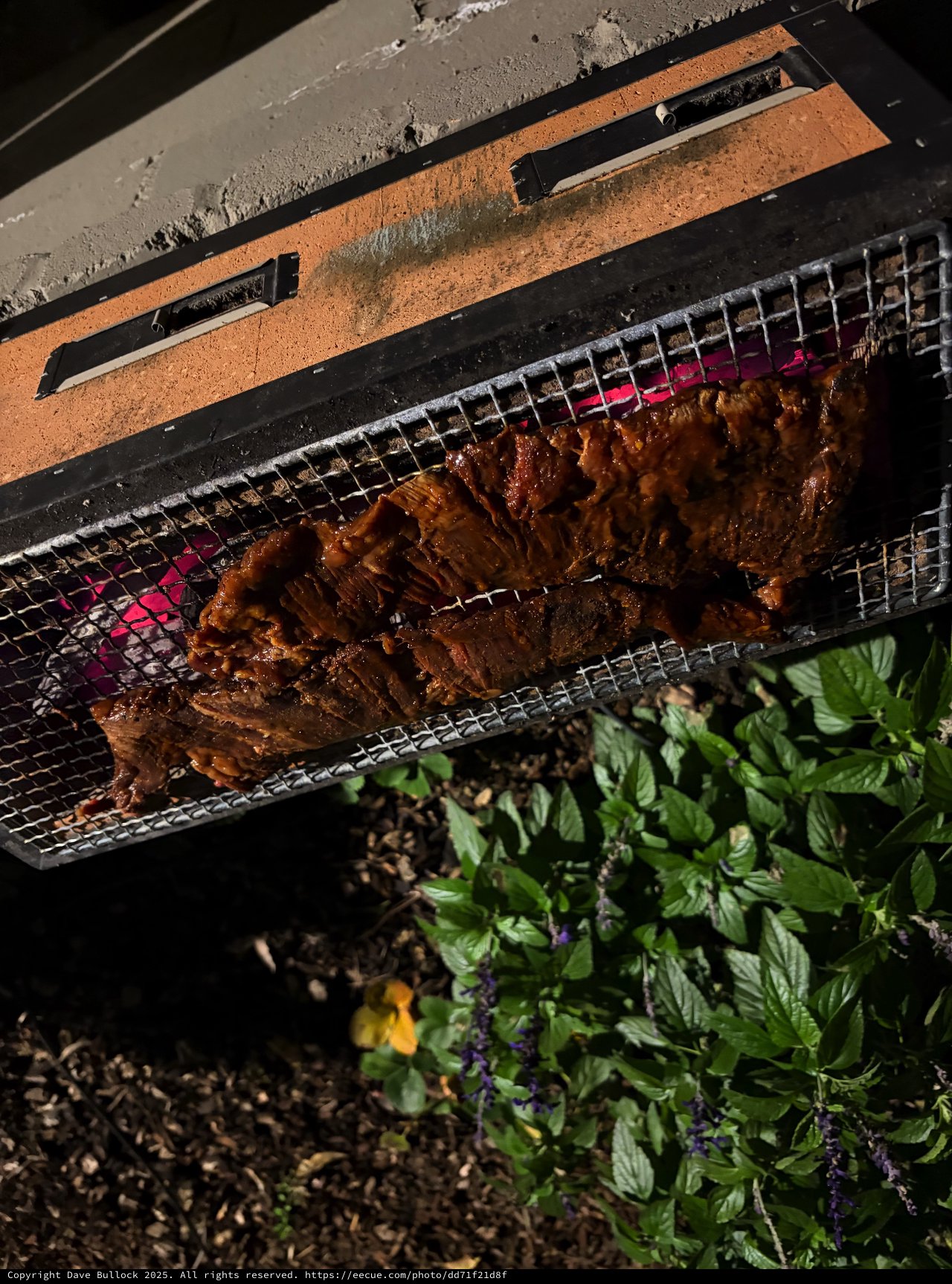 Grilled Fish Over Charcoal with Fresh Herbs