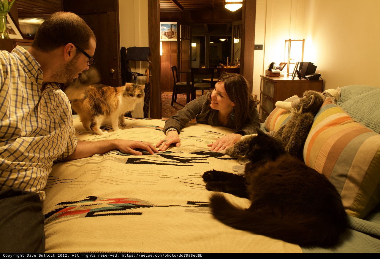 Couple Relaxing on Bed with Their Cats