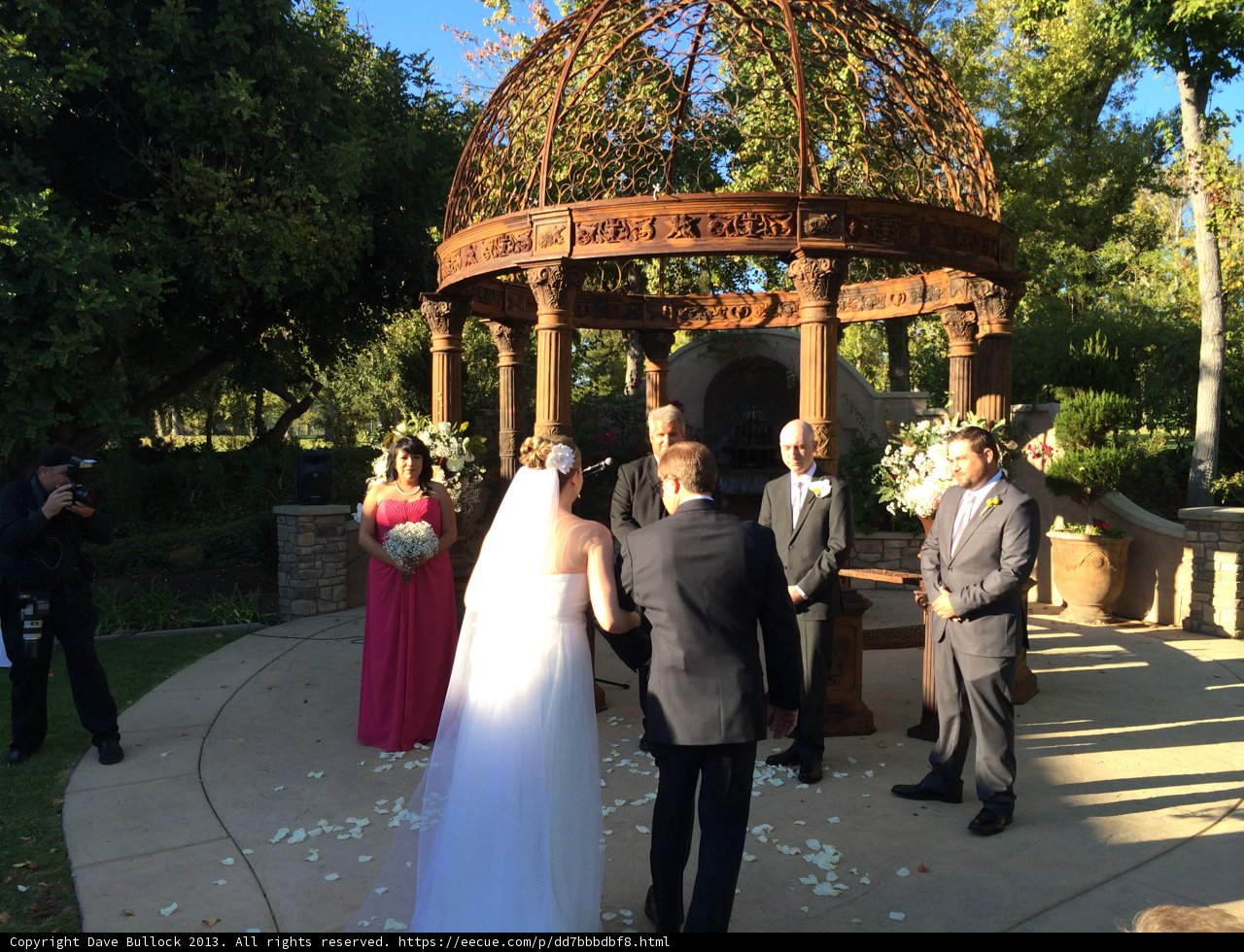 Wedding Bliss under the Blue Sky